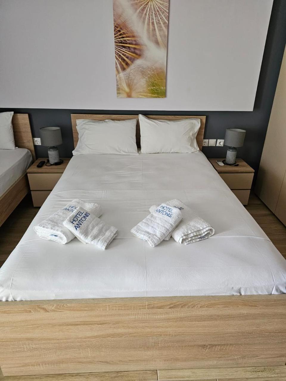 Hotel Antonis 3*